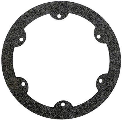 face ring Gasket Hayward