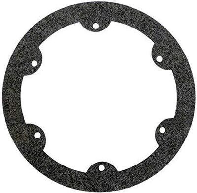face ring Gasket Hayward