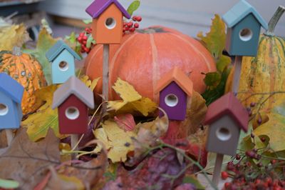 Hummelbudn Herbst/Winter