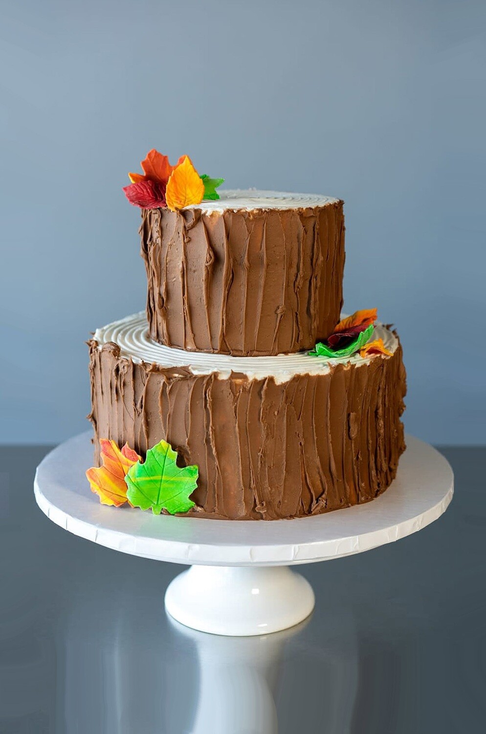 Woodland Tree Stump 2 Tier Cake