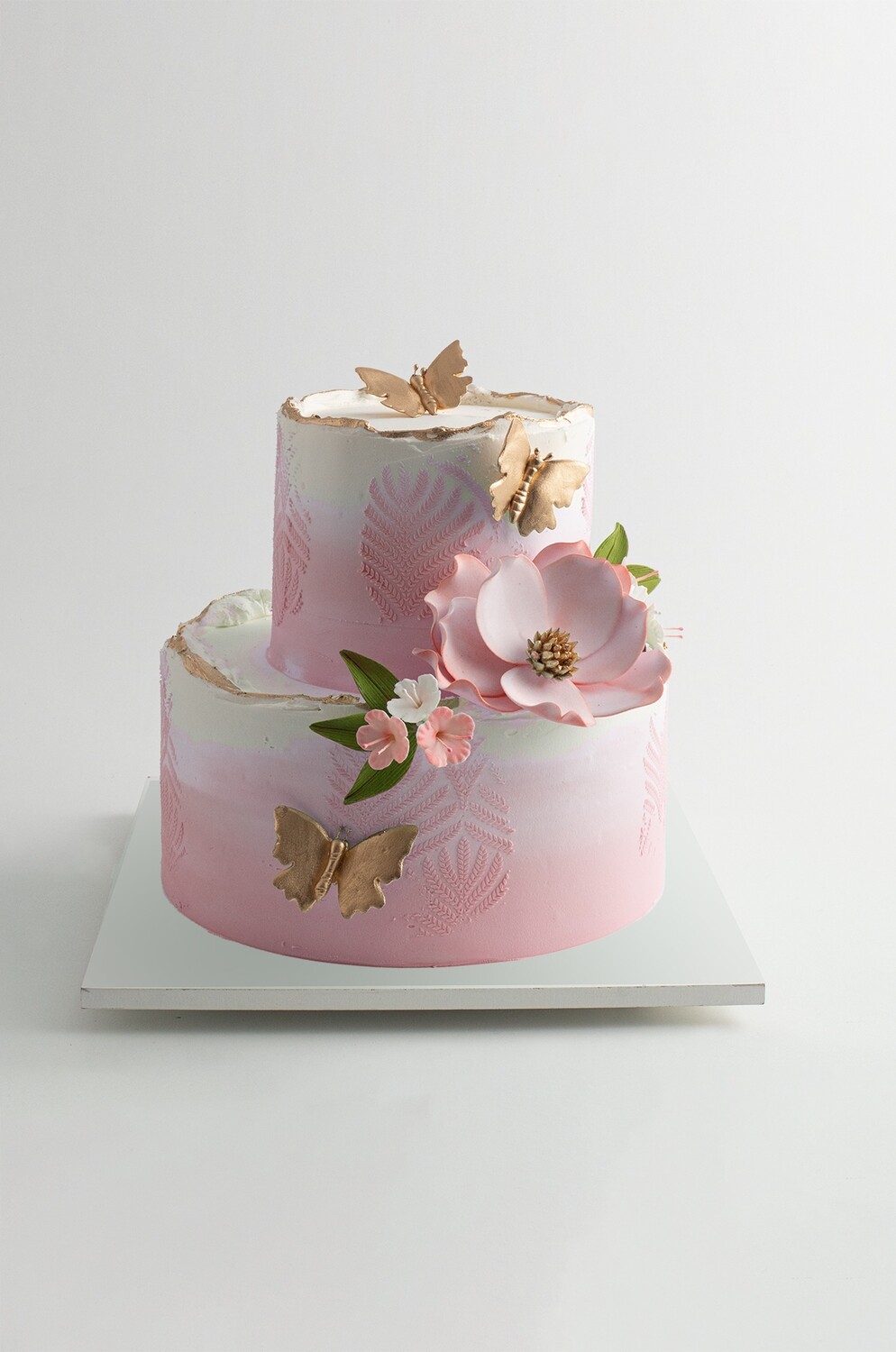 Golden Butterfly with Colors 2 Tier Cake