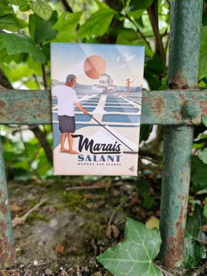 Magnet marais salant