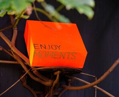 enjoy moments enjoy moments