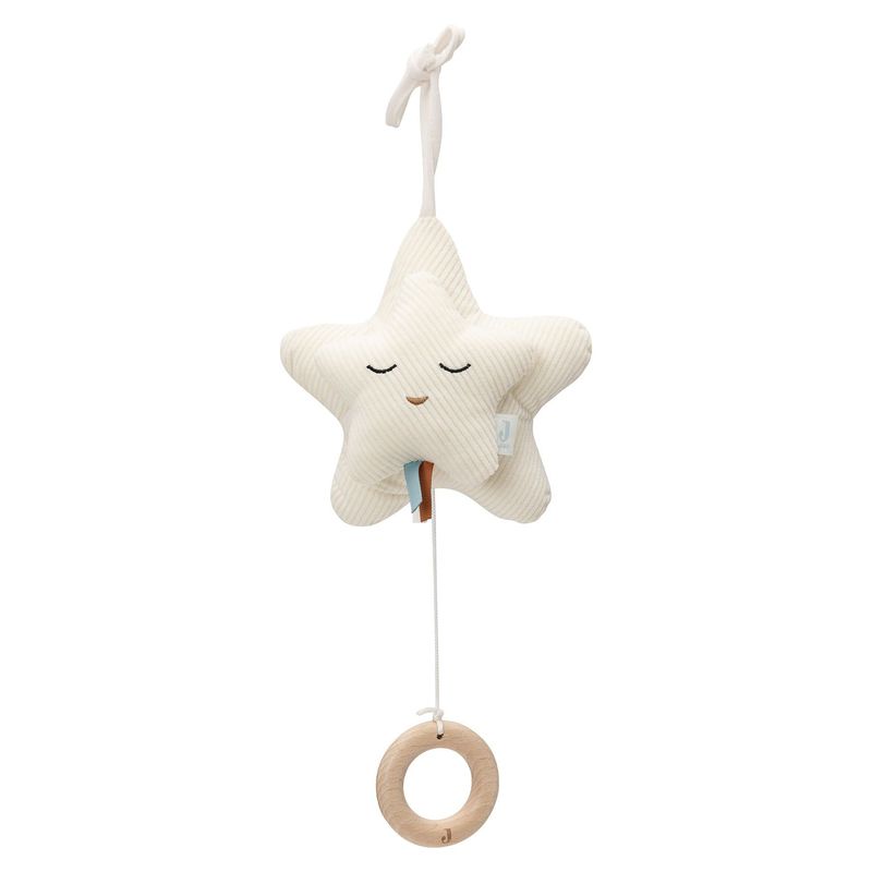 Muziekhanger Star