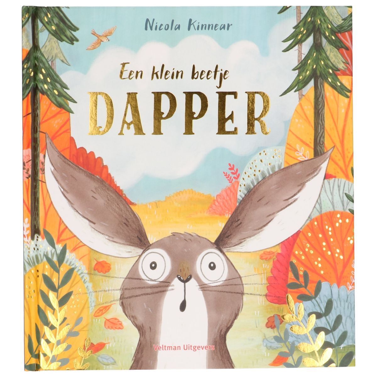 Boek Een Klein Beetje Dapper