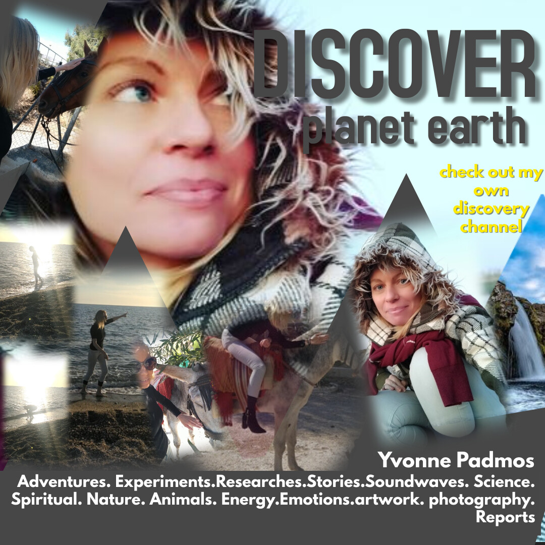 Discovery Channel by yvonne padmos