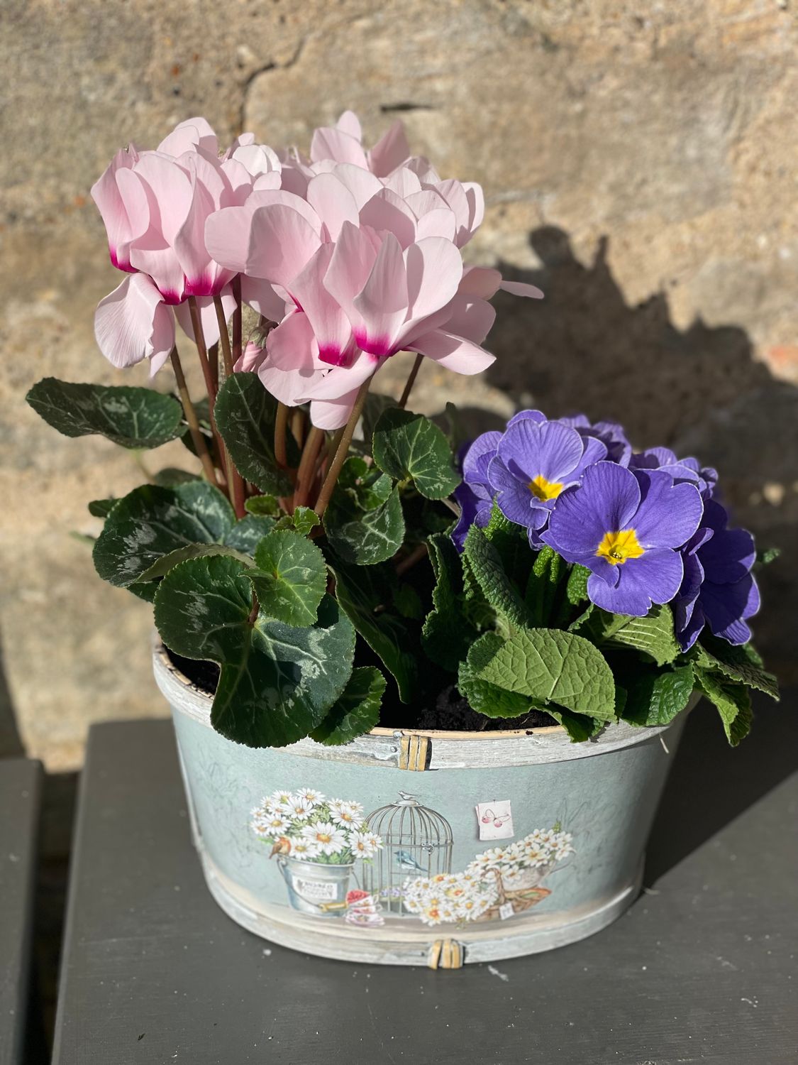 OVAL planter