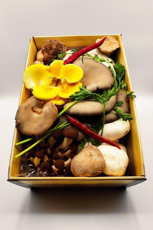 Cesto Misto di Funghi Freschi kg 1,5