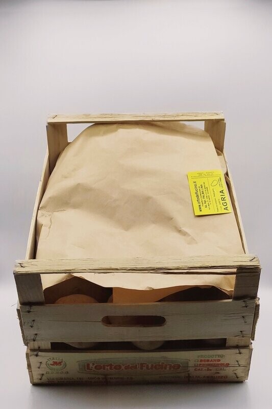 Patata AGRIA sfusa in sacchi 10Kg