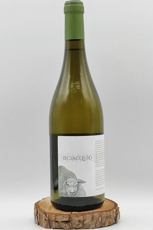 Isciacquio vino bianco BTG 75 cl