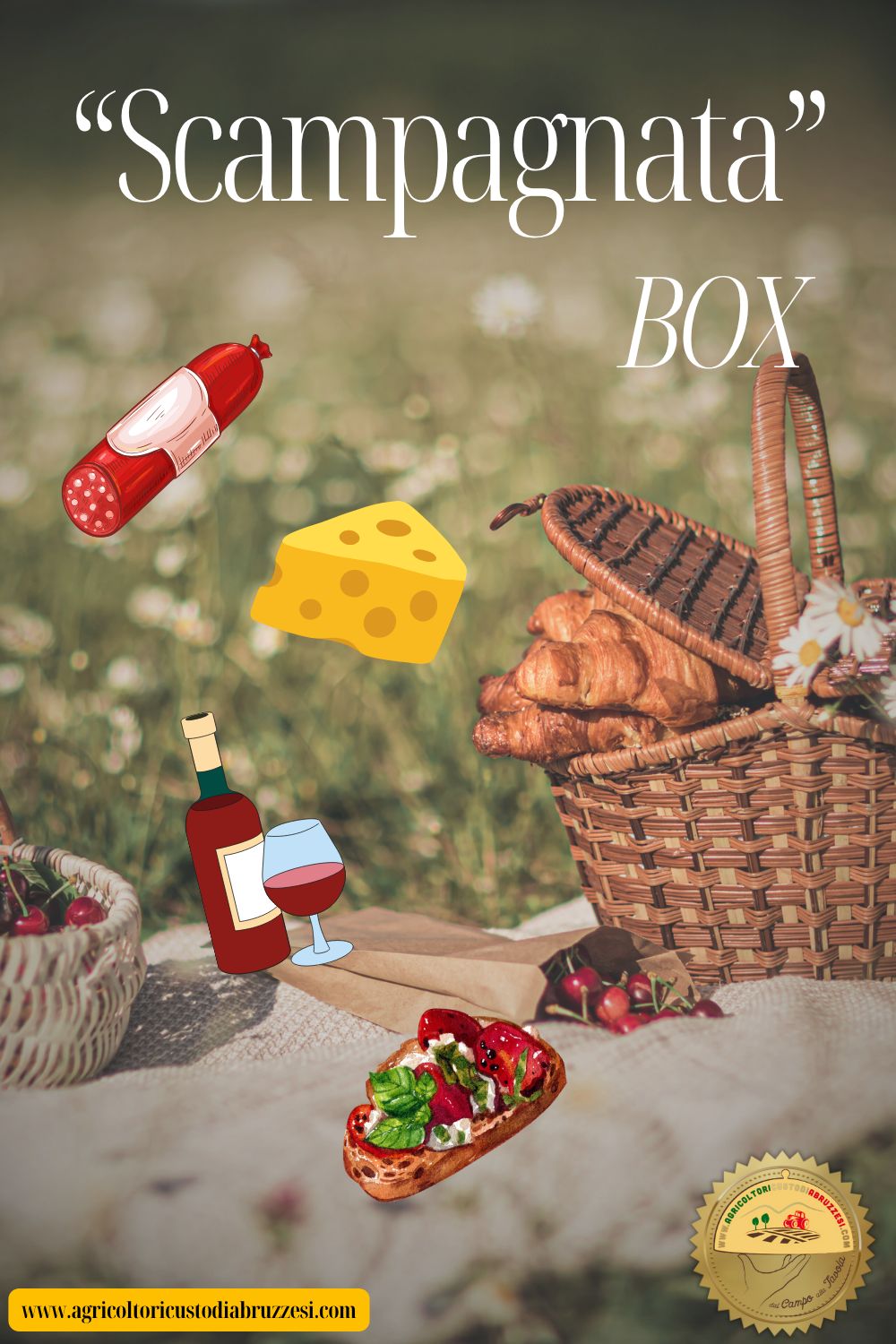 SCAMPAGNATA BOX