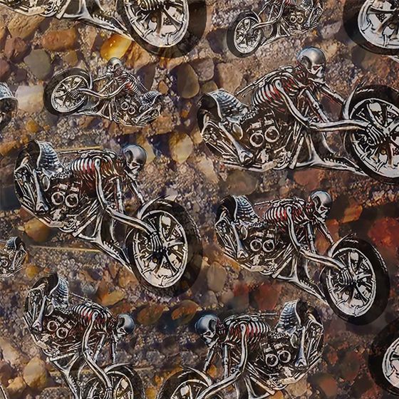 Motorcycle Skeletons
