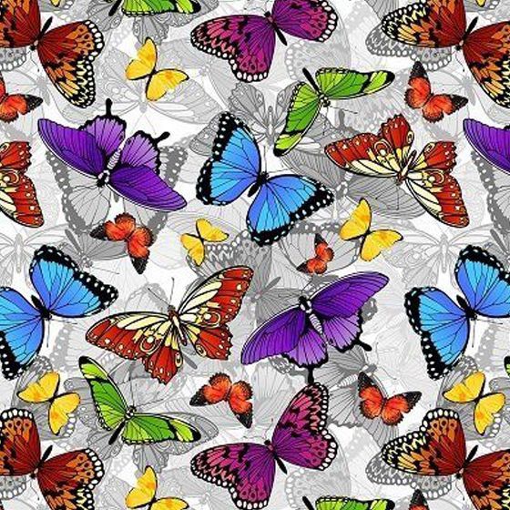 Colorful Butterflies