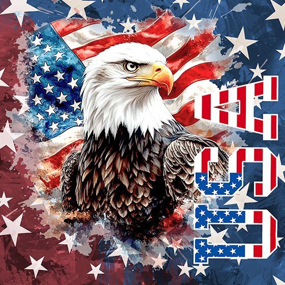 USA Eagle 2