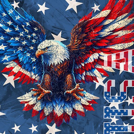 USA Eagle 3