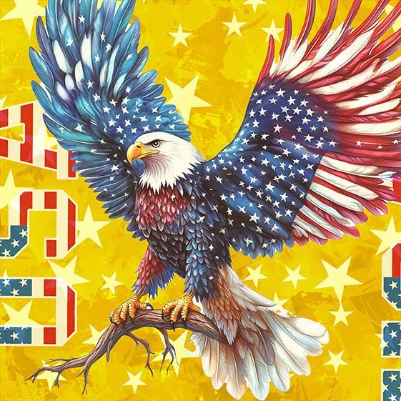 USA Eagle 9