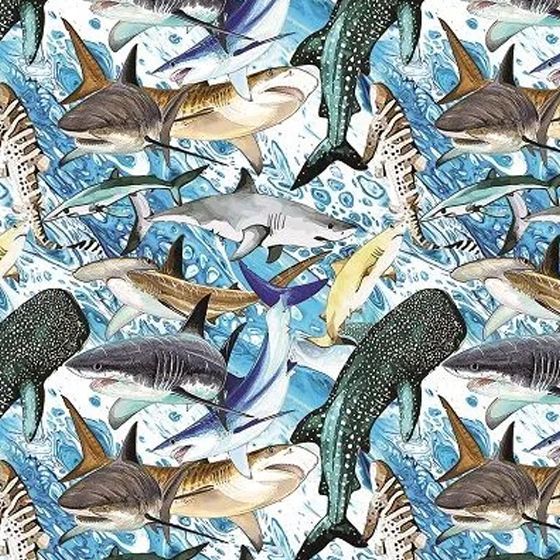 Sharks Sharks