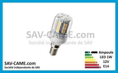 Ampoule LED 12V 1W E14