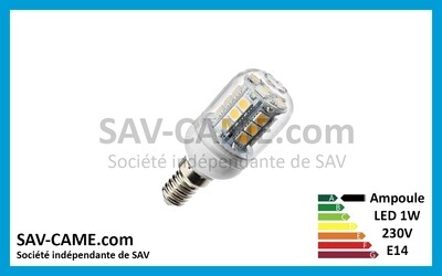 Ampoule LED 230V 1W E14
