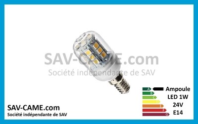 Ampoule LED 24V 1W E14