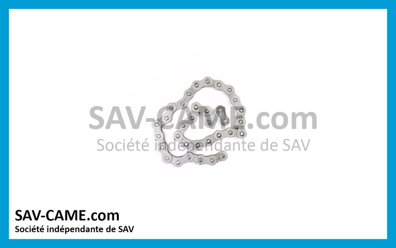 Chaine transmission CAME FROG 119RIA036
