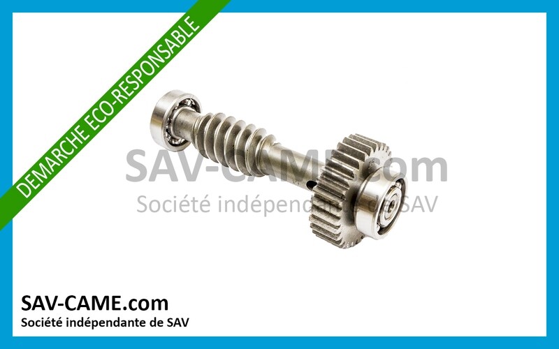 Couronne et vis sans fin reconditionnée pour moteur FAST CAME 119RID228 Couronne et vis sans fin reconditionnée pour moteur FAST CAME 119RID228