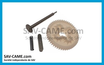 Couronne débrayable Came BX243 119RIBX052