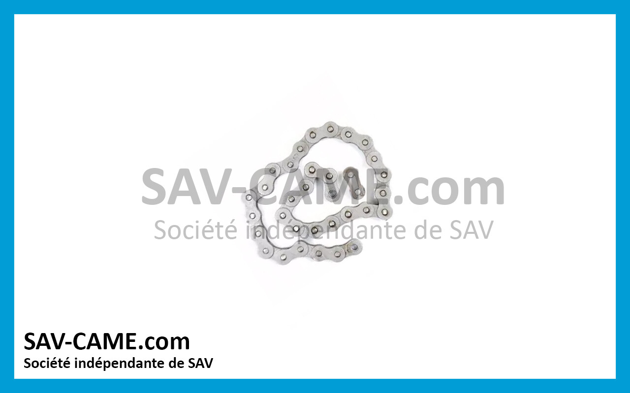 Chaine transmission CAME FROG 119RIA036 Chaine transmission CAME FROG 119RIA036