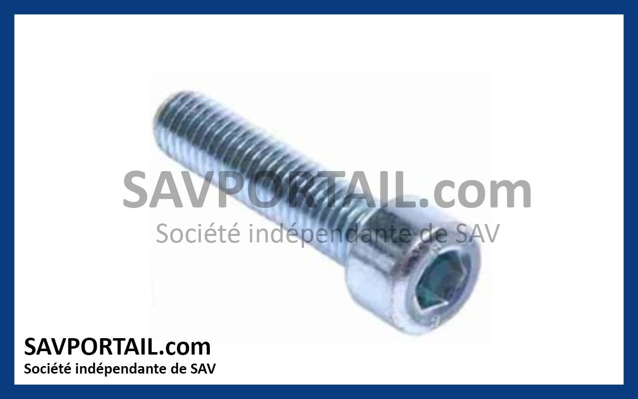 Vis 8 x 35 zinguée NICE V8X35C