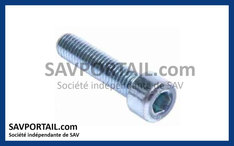 Vis 8 x 35 zinguée NICE V8X35C