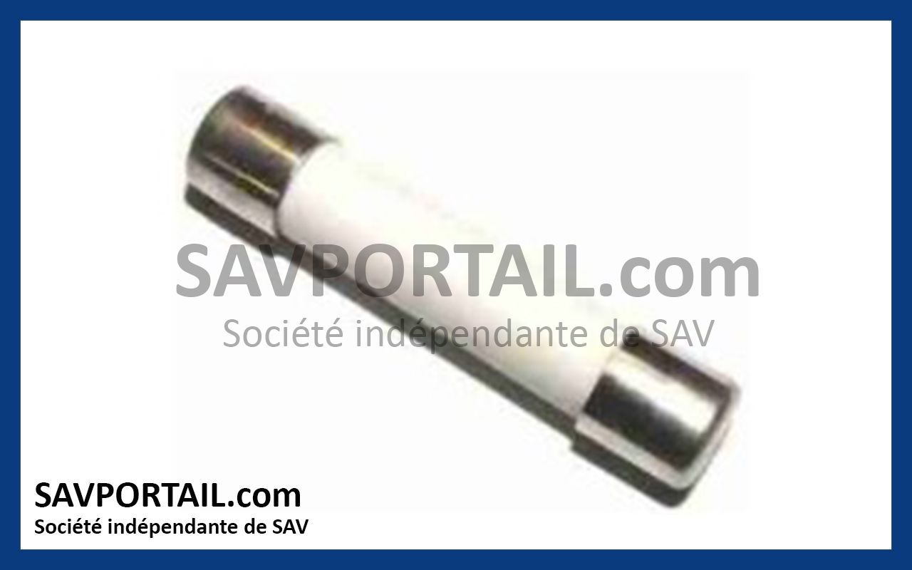 Fusible 1A 250V NICE F1AR