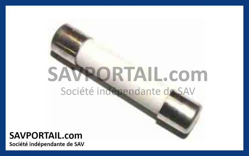 Fusible 1A 250V NICE F1AR