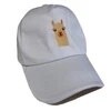 Alpaca Baseball cap-off white