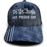 We The People Hat