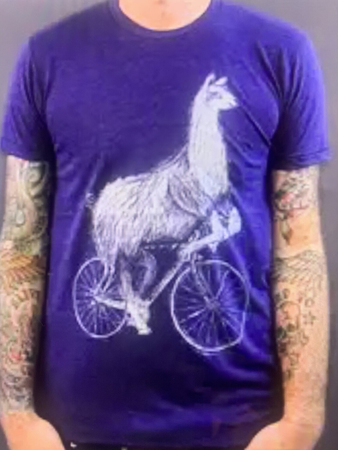 Llama on a bicycle