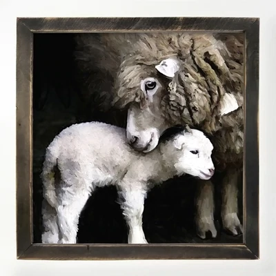 New Born Sheep Picture