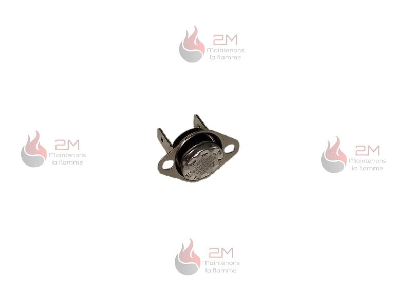 Thermostat de sécurité 100°C référence 1042004400