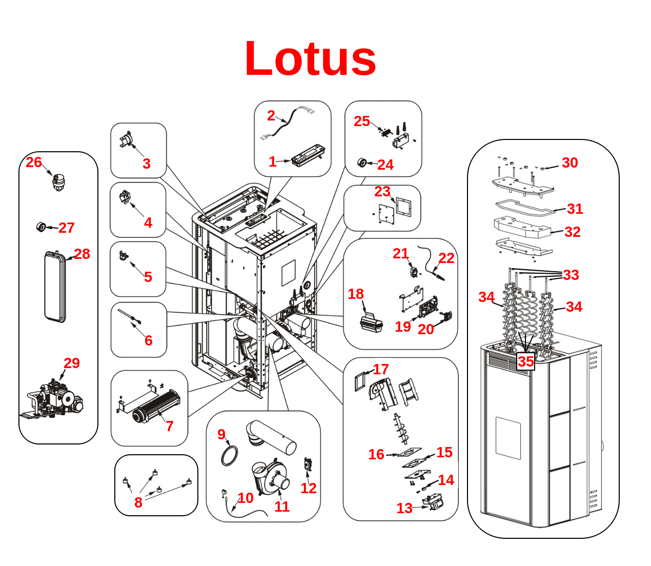 Lotus