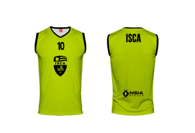 Lot de 48 chasubles