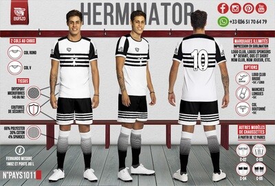 Maillot de football Bretagne - Modèle Herminator