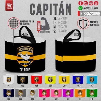 Lot de 2 brassards différents ASC Plombières