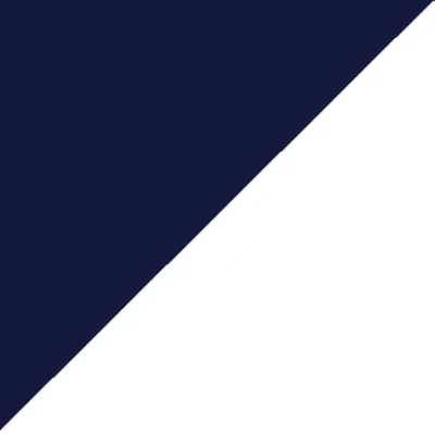 Maillot de foot bleu marine et blanc