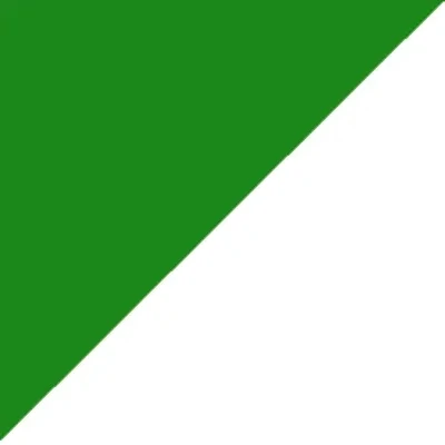 Maillot de foot vert et blanc