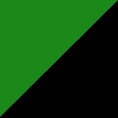 Maillot de foot vert et noir