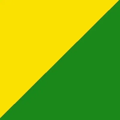 Maillot de foot jaune et vert