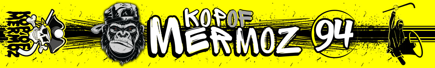 Acompte 30 écharpes