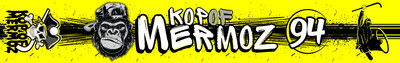 Acompte 30 écharpes