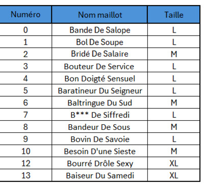 Lot de 13 maillots