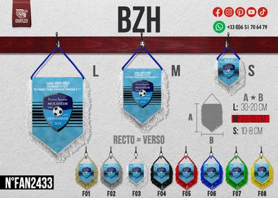 Lot de 30 fanions en taille 20x15