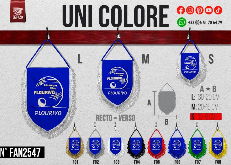 Lot de 10 fanions en taille 10x8